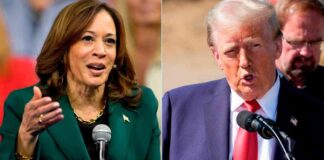 Trump surpasses Harris on US economy in latest FT poll news-24102024-095341