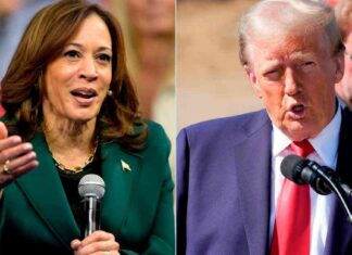 Trump surpasses Harris on US economy in latest FT poll news-24102024-095341