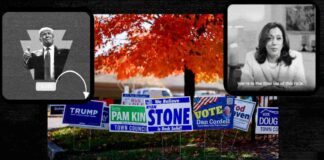 Understanding the Impact of Swing States on the US Election: A Deep Dive into Key Battlegrounds news-25102024-095955