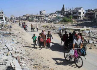 Israel’s Military Operation in Gaza: Analysis and Updates news-26102024-102846