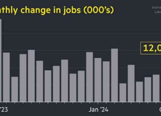 US Job Growth Slows to 12,000 Amid Hurricane and Strike Impact: Biden’s Term Report news-01112024-175156