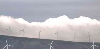 Washington Governor Approves Large Wind Farm and Urges Quick Turbine Approvals news-03112024-074540