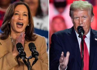 Final Appeals: Trump and Harris in Tight US Election Race news-03112024-194728