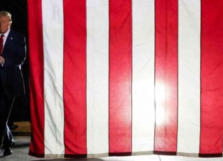 The Decline of Donald Trump’s Election Campaign: A Closer Look at the Final Days news-05112024-045053