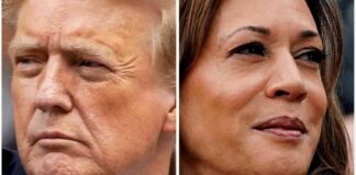 Presidential Candidates Kamala Harris and Donald Trump Rally for Votes news-05112024-105147