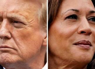 Presidential Candidates Kamala Harris and Donald Trump Rally for Votes news-05112024-105147