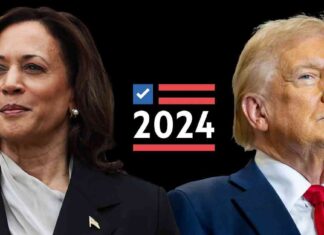 US Election 2024 Live Results: Voters Decide in Historically Close Election news-05112024-225619