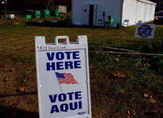 Understanding Voter Demographics: Why Poorer Voters Supported Trump – Election Data Insights news-10112024-033519