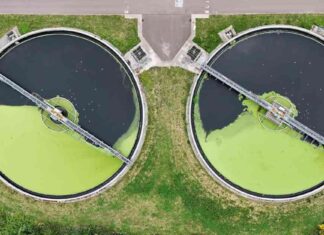 Thames Water: The Hedge Fund Battle for Control news-10112024-152021