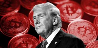 Bitcoin Price Hits Record High Amid Trump’s Congressional Gains news-10112024-212311