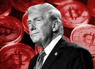 Bitcoin Price Hits Record High Amid Trump’s Congressional Gains news-10112024-212311