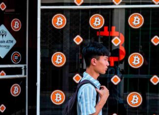 Investors Flock to Tesla, Bitcoin, and Dollar in ‘Trump Trades’ Frenzy news-11112024-154435