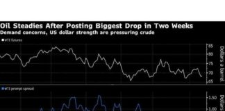 Oil Prices Fall on Demand and Dollar Worries news-12112024-034902