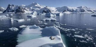 G20 Initiatives at Risk as Donald Trump’s Victory Creates Uncertainty news-17112024-215200