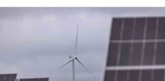 $12 Billion Climate Fund Prepares for Rare Bond Issuance news-26112024-232906