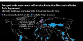 Rebounding Carbon-Credits Market: Trafigura’s Strategic Bet news-27112024-233935