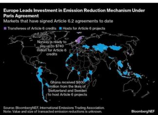 Rebounding Carbon-Credits Market: Trafigura’s Strategic Bet news-27112024-233935
