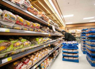 Canada Bread Lawsuit Against Maple Leaf for Alleged Bread Price-Fixing news-29112024-235941