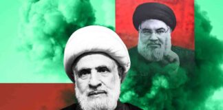 The Future of Hizbollah: Challenges and Opportunities news-30112024-180648