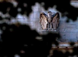 Federal Reserve Rate Cut Impacts Stocks and Dollar Exchange Rate federal-reserve-rate-cut-mpacts-stocks-and-dollar-exchange-rate