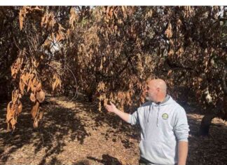 Rebuilding After Israel-Lebanon Truce: Home Damage Concerns rebuilding-after-srael-lebanon-truce-home-damage-concerns