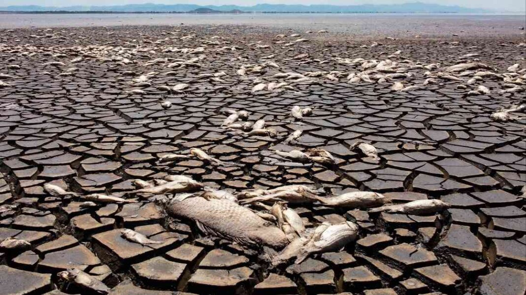 breaking-news-global-warming-exceeds-15c-target-in-2024