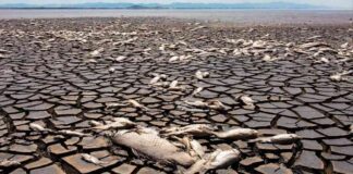 Breaking News: Global Warming Exceeds 1.5C Target in 2024 breaking-news-global-warming-exceeds-15c-target-in-2024