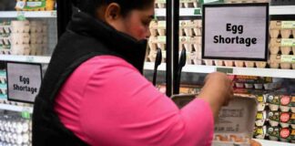 Consumer Confidence Plummets Due to Inflation and Tariff Concerns consumer-confidence-plummets-due-to-nflation-and-tariff-concerns