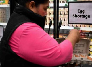 Consumer Confidence Plummets Due to Inflation and Tariff Concerns consumer-confidence-plummets-due-to-nflation-and-tariff-concerns