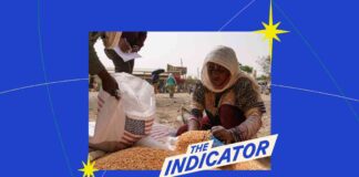 Impact of USAID Cuts on American Farmers mpact-of-usad-cuts-on-american-farmers