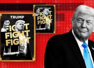 risks-for-nvestors-donald-trump-memecoin-copycats-concerns