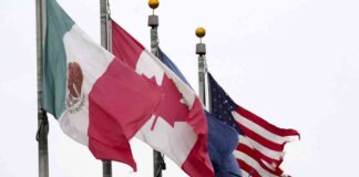 US Tariffs on Canada and Mexico Suspended us-tariffs-on-canada-and-mexico-suspended