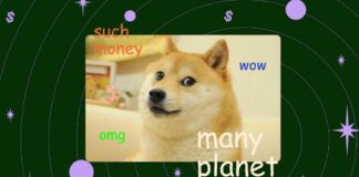 Exploring Memecoin Gambling Trends: A Planet Money Analysis exploring-memecoin-gambling-trends-a-planet-money-analysis