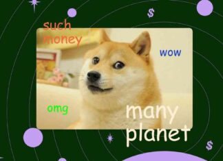 Exploring Memecoin Gambling Trends: A Planet Money Analysis exploring-memecoin-gambling-trends-a-planet-money-analysis