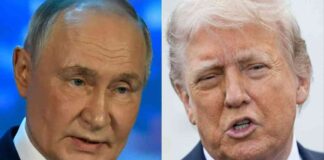 Donald Trump Focuses on Peace Talks to Resolve Russia-Ukraine Conflict donald-trump-focuses-on-peace-talks-to-resolve-russia-ukraine-conflict