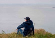 Navigating the Post-Brexit Trade-offs: Britain and Europe’s Future navigating-the-post-brexit-trade-offs-britain-and-europes-future