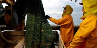 Intense UK-EU Talks Over Post-Brexit Reset Terms ntense-uk-eu-talks-over-post-brexit-reset-terms