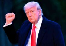 Potential Trade War: Trump Threatens 50% Tariff on EU Imports potential-trade-war-trump-threatens-50-tariff-on-eu-mports