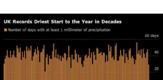 Top 5 Charts for Global Commodity Market Trends This Week top-5-charts-for-global-commodity-market-trends-this-week