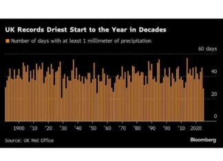 Top 5 Charts for Global Commodity Market Trends This Week top-5-charts-for-global-commodity-market-trends-this-week