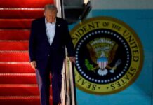 Trump to Hold Peace Talks with Putin and Zelenskyy in Latest Diplomatic Effort trump-to-hold-peace-talks-with-putin-and-zelenskyy-in-latest-diplomatic-effort