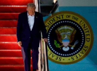 Trump to Hold Peace Talks with Putin and Zelenskyy in Latest Diplomatic Effort trump-to-hold-peace-talks-with-putin-and-zelenskyy-in-latest-diplomatic-effort